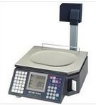 电子地磅